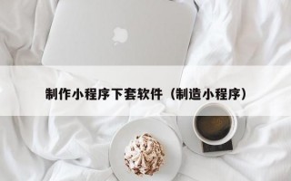 制作小程序下套软件（制造小程序）