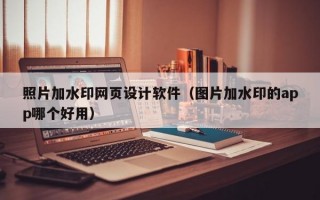 照片加水印网页设计软件（图片加水印的app哪个好用）